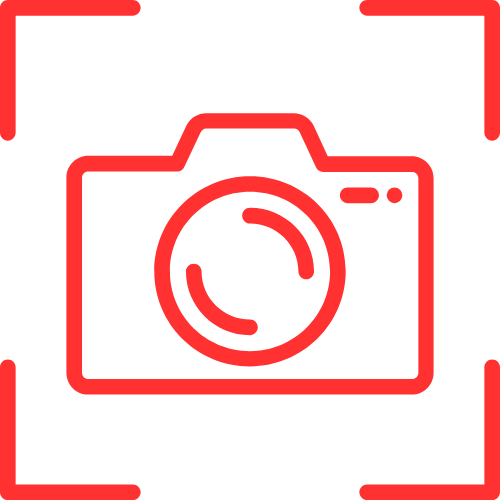 Rabbit Cam Nude